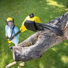 Best Aeration Services  in Glide, OR
